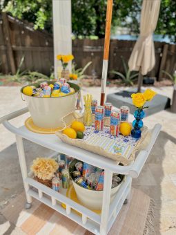 683424D9-E18D-405D-9FA6-A3833B77A3AC